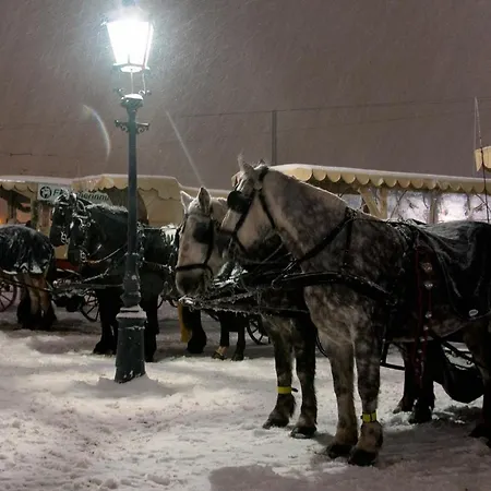 Franks Kleines In 4*