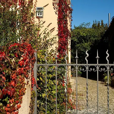 Franks Kleines In 招待所