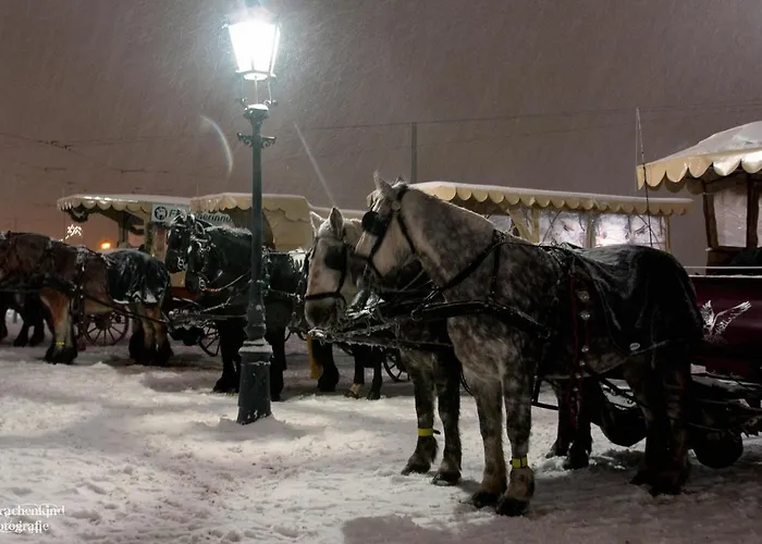 Franks Kleines In 4*